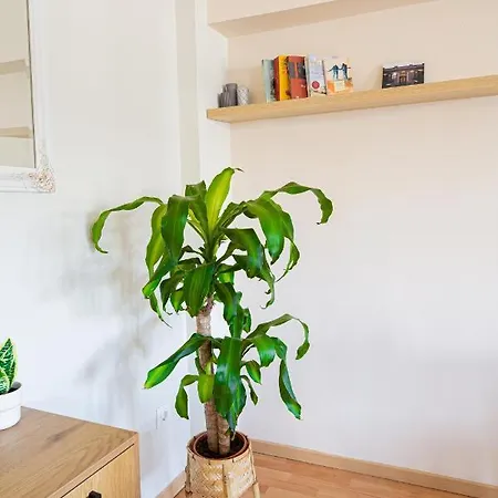 Venus Apartment Thessaloniki